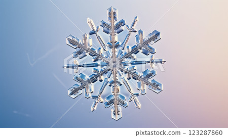 Exquisite snowflake crystal with intricate details. 123287860