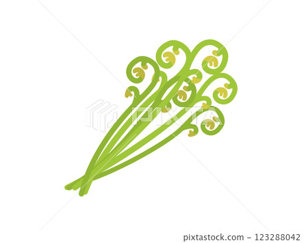 野生植物、蕨菜的插圖 123288042