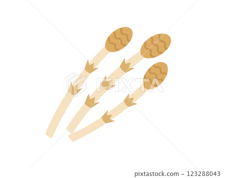 Illustration of wild plants, horsetail 123288043