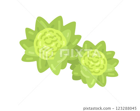 野生蔬菜、款冬芽的插圖 123288045