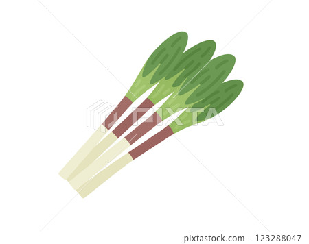 野菜野蒜的插圖 123288047