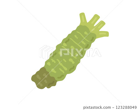 Illustration of wild vegetables, wasabi 123288049