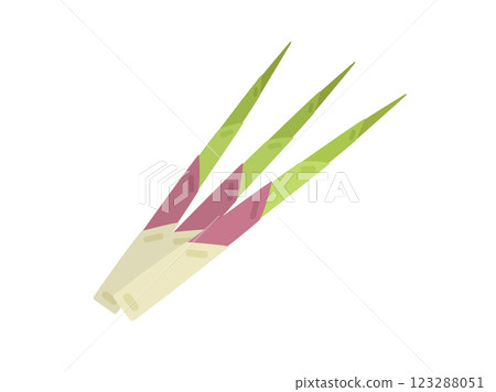 山菜和彎竹的插圖 山菜和彎竹的插圖 123288051