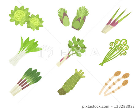 各種野菜的插圖集 123288052