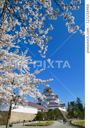 Tsuruga Castle in spring (Fukushima Prefecture, Aizu Wakamatsu City) Tsuruga Castle in spring (Fukushima Prefecture, Aizu Wakamatsu City) 123288468