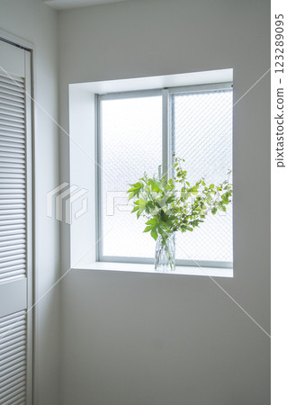 Greenery on the windowsill Greenery on the windowsill 123289095