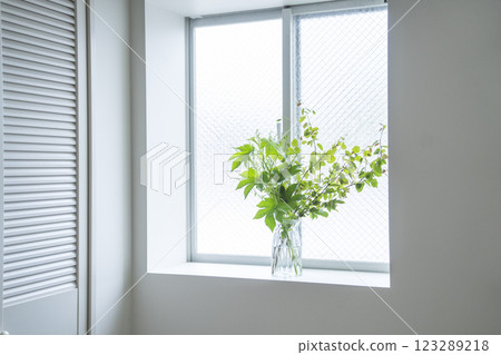 Greenery on the windowsill 123289218