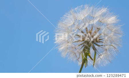 Spring Or Summer Natural Pastel Colored Lush Foliage. Goodbye Summer. Conceptual Picturesque Meaning Change. 123289471