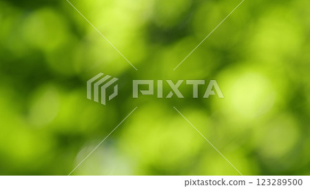 Forest Is A Natural Resource And Place For Recreation. Rich Green Leaves Of A Tree Waving. Travel Vacation Nature Concept. Gimbal shot. Forest Is A Natural Resource And Place For Recreation. Rich Green Leaves Of A Tree Waving. Travel Vacation Nature Concept. Gimbal shot. 123289500