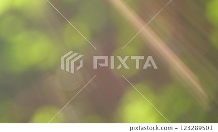 Live Texture With Green Leaves And Breaking Sun Rays. Particles Motion In Colorful Background. Bokeh. Live Texture With Green Leaves And Breaking Sun Rays. Particles Motion In Colorful Background. Bokeh. 123289501