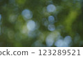 Beautiful Sunlight In Forest. Deciduous Trees In A Mixed Forest In Spring Season. Concept Nature Or Oxygen, Climate Change. 123289521