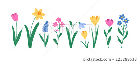 Set of spring blooming flowers. Hand drawn vector illustration. Set of spring blooming flowers. Hand drawn vector illustration. 123289538