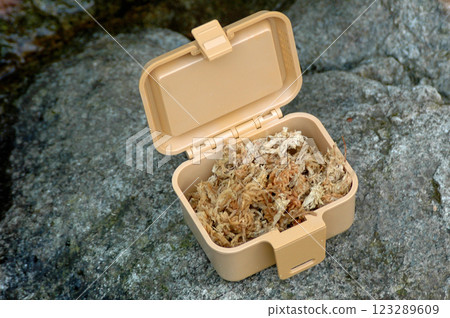 A feeding box for river insects and moisturizing water moss to put inside it 123289609