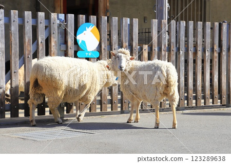 板橋區兒童動物園、東板橋公園 123289638