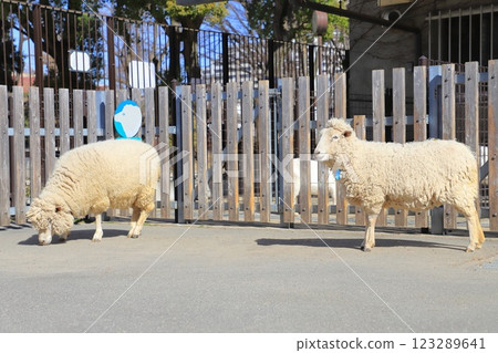 板橋區兒童動物園、東板橋公園 123289641