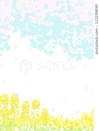 Cherry blossoms and spring sky, rapeseed field Cherry blossoms and spring sky, rapeseed field 123289690
