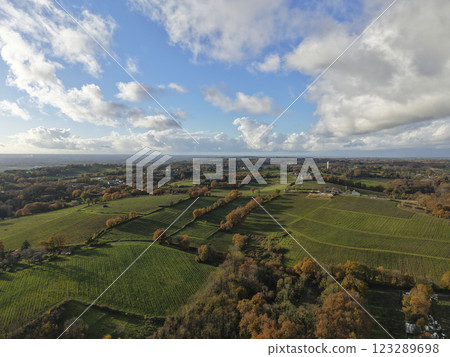 France, Gironde, Tabanac, Aerial view of the vineyard and wooded areas of Chateau le Pic in the 123289698
