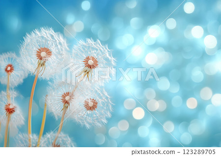 Beautiful dandelion fluff 123289705