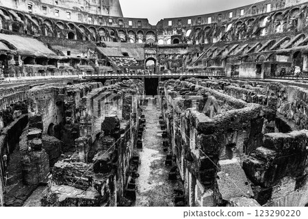 Rome Colosseum monochrome 123290220