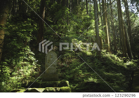 Stone Jizo in the forest Stone Jizo in the forest 123290296