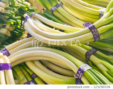 Many Miyagi Prefecture-grown curved leeks lined up on the sales floor 123290336