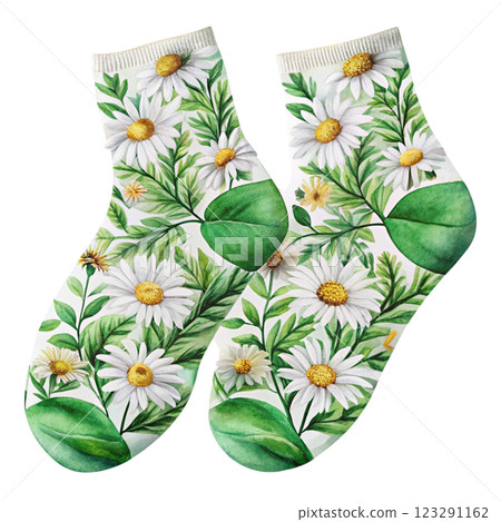 Socks Flowers Clipart Watercolor 123291162