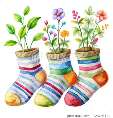 Socks Flowers Clipart Watercolor Socks Flowers Clipart Watercolor 123291180