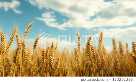Golden wheat field under a bright blue sky dotted with fluffy white clouds, showcasing nature's beauty and agricultural abundance. Golden wheat field under a bright blue sky dotted with fluffy white clouds, showcasing nature's beauty and agricultural abundance. 123291386