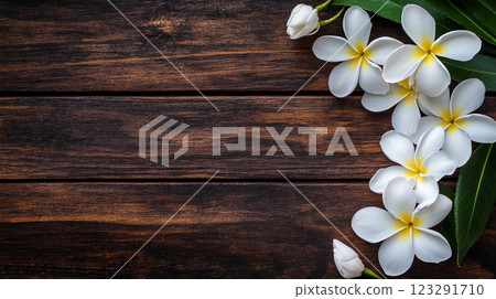 Elegant tropical flowers with white petals and yellow centers rest on a rich, dark wooden surface creating a calm and welcoming atmosphere. Elegant tropical flowers with white petals and yellow centers rest on a rich, dark wooden surface creating a calm and welcoming atmosphere. 123291710