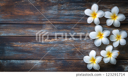 Elegant white plumeria blossoms with yellow centers are artfully arranged on weathered wooden planks, creating a peaceful floral composition. Elegant white plumeria blossoms with yellow centers are artfully arranged on weathered wooden planks, creating a peaceful floral composition. 123291714