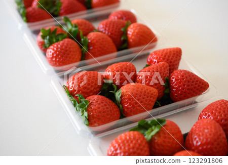 季節性草莓 季節性草莓 123291806