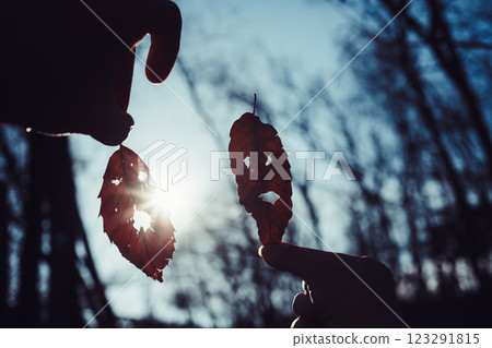 ,Fallen Leaf Face ,Fallen Leaf Face 123291815
