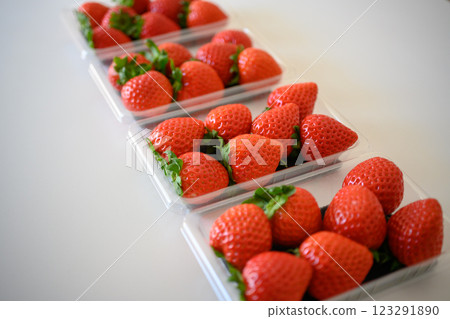 新鮮的草莓 新鮮的草莓 123291890