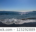 早晨美麗的海岸風景 123292889