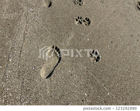 沙灘上留下的足跡 沙灘上留下的足跡 123292890