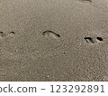 海灘上的足跡 123292891