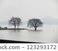 漂浮在湖中的樹木 123293172
