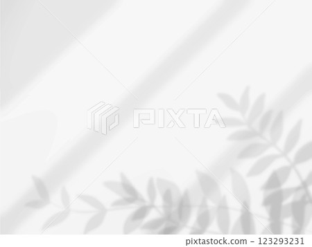 A simple background with the shadow of a plant leaf cast on the wall A simple background with the shadow of a plant leaf cast on the wall 123293231