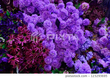 a bunch of purple lilac flowers 123293695