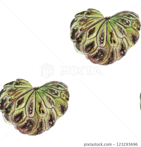 Cherimoya, sugar apple watercolor seamless pattern isolated on white, textured. Hand-painted tropical fruit art great for culinary designs, labels, prints, cards, packages, menu, home decor. Heart Cherimoya, sugar apple watercolor seamless pattern isolated on white, textured. Hand-painted tropical fruit art great for culinary designs, labels, prints, cards, packages, menu, home decor. Heart 123293696