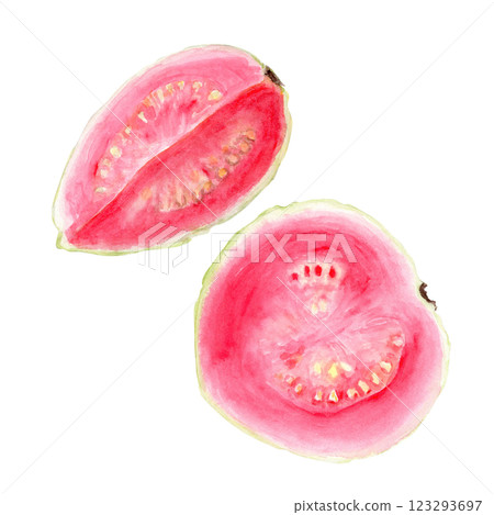 Ripe open pink guava quoter and a half watercolor set isolated on white. The hand-painted tropical fruit clip art is perfect for culinary designs, labels, prints, cards, packages, menu, home decor Ripe open pink guava quoter and a half watercolor set isolated on white. The hand-painted tropical fruit clip art is perfect for culinary designs, labels, prints, cards, packages, menu, home decor 123293697