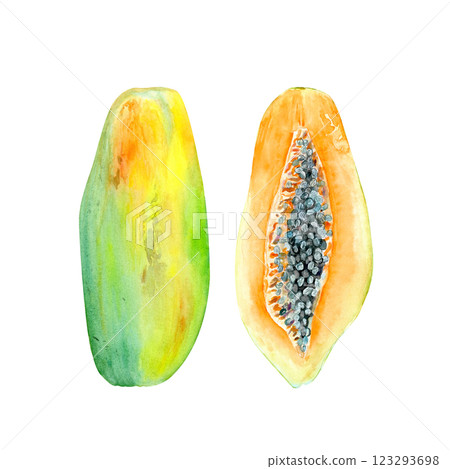 A fresh open and whole papaya watercolor set isolated on white. The hand-painted tropical textured fruit clip art is perfect for culinary designs, labels, prints, cards, packages, menu, home decor A fresh open and whole papaya watercolor set isolated on white. The hand-painted tropical textured fruit clip art is perfect for culinary designs, labels, prints, cards, packages, menu, home decor 123293698