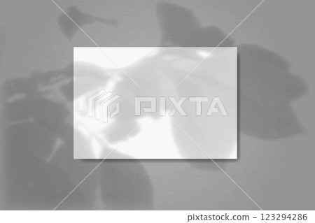 A horizontal rectangular sheet of white paper on the background of a blue wall. Mockup overlay with the plant shadows. A horizontal rectangular sheet of white paper on the background of a blue wall. Mockup overlay with the plant shadows. 123294286
