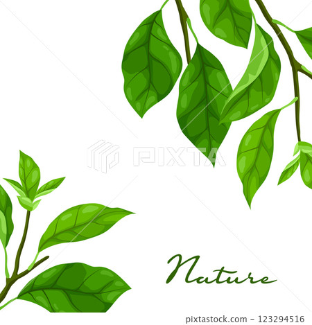 Background with branches and leaves. Spring or summer stylized foliage. Background with branches and leaves. Spring or summer stylized foliage. 123294516