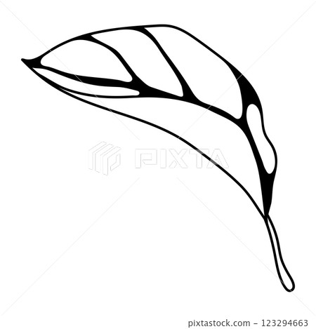 Illustration of leaf. Spring or summer stylized foliage. 123294663