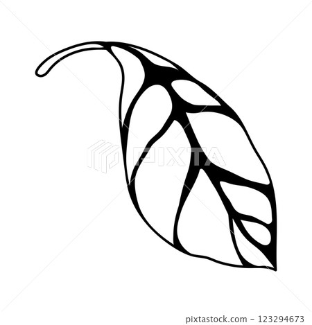 Illustration of leaf. Spring or summer stylized foliage. 123294673