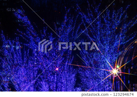 Yokohama Christmas Illumination / Yokohama Miraito 123294674