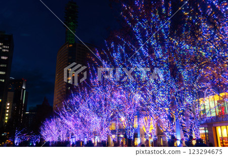 Yokohama Christmas Illumination / Yokohama Miraito 123294675