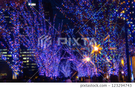 Yokohama Christmas Illumination / Yokohama Miraito 123294743