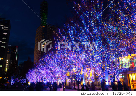 橫濱聖誕彩燈會/橫濱未來 橫濱聖誕彩燈會/橫濱未來 123294745